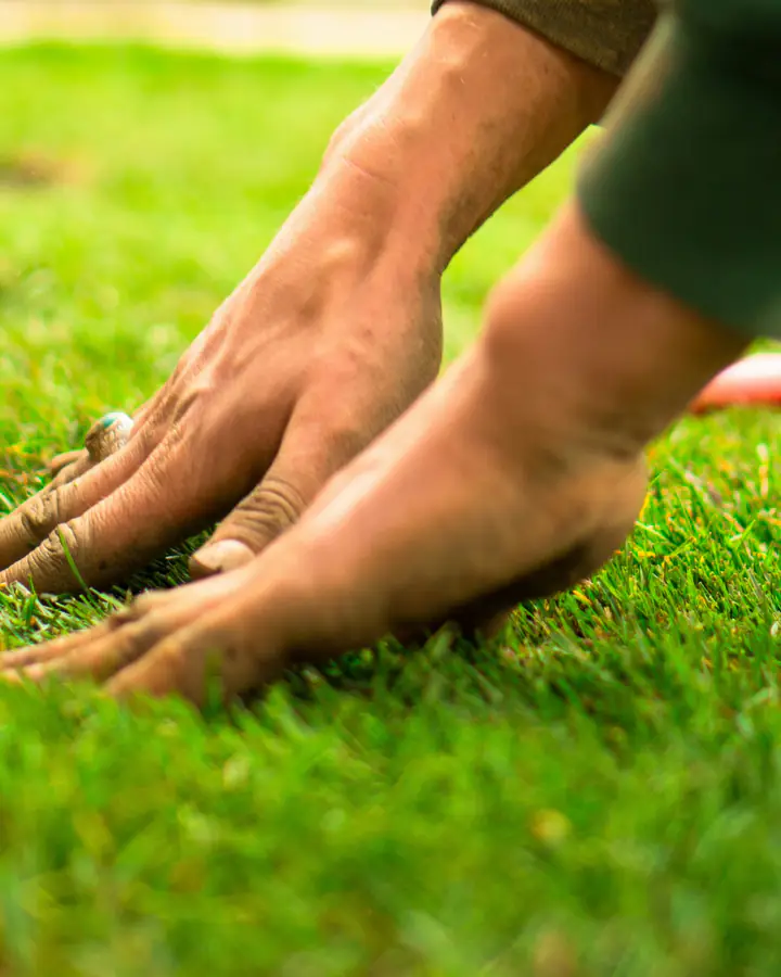 Photo d’illustration : des mains posent une plaque de gazon contre la bordure.